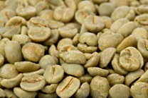 Weight Loss Benefits of Green Coffee Bean Extract